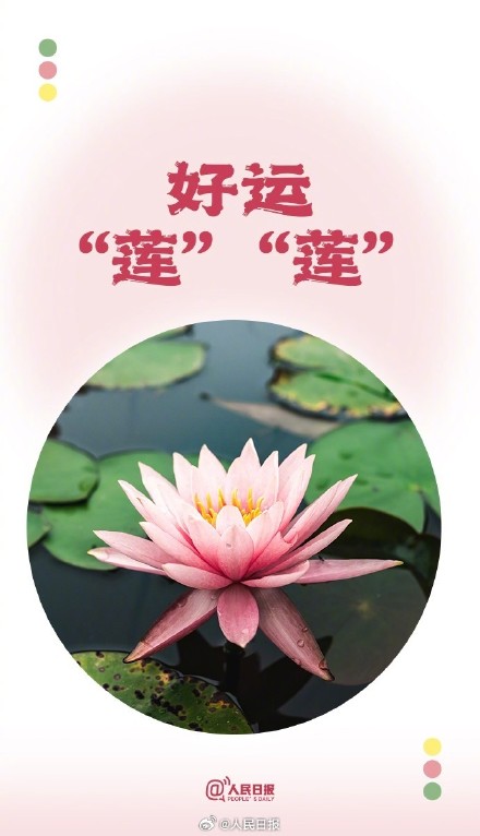 转存!你有一份夏日谐音祝福待查收 转存!你有一份夏日谐音祝福待查收