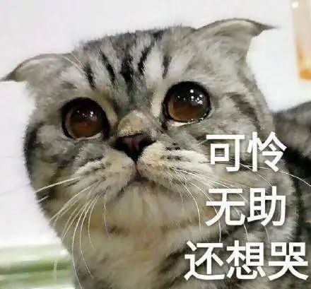 头皮发麻!上海街头这些不明粘液是啥?目前正是高发期!有人鞋底、衣服遭殃... 头皮发麻!上海街头这些不明粘液是啥?目前正是高发期!有人鞋底、衣服遭殃...