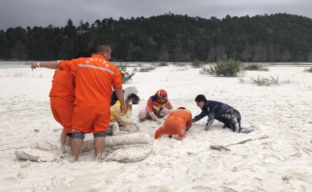 27岁女子被咬伤身亡!旅行中这些易被忽视的危险,你知道几个? 27岁女子被咬伤身亡!旅行中这些易被忽视的危险,你知道几个?