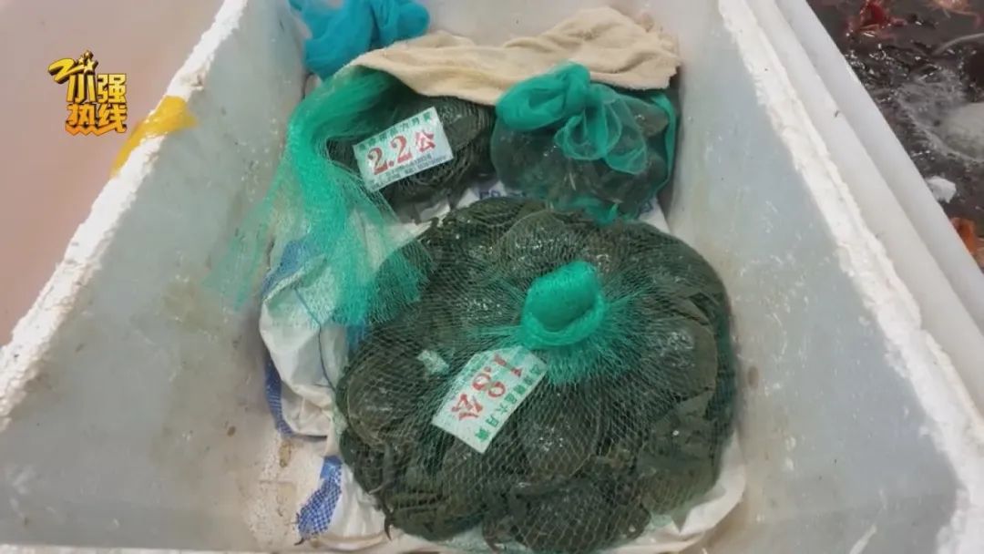 “鲜掉眉毛”!很多人爱吃的限定美味来了!价格下跌的时间已确定 “鲜掉眉毛”!很多人爱吃的限定美味来了!价格下跌的时间已确定