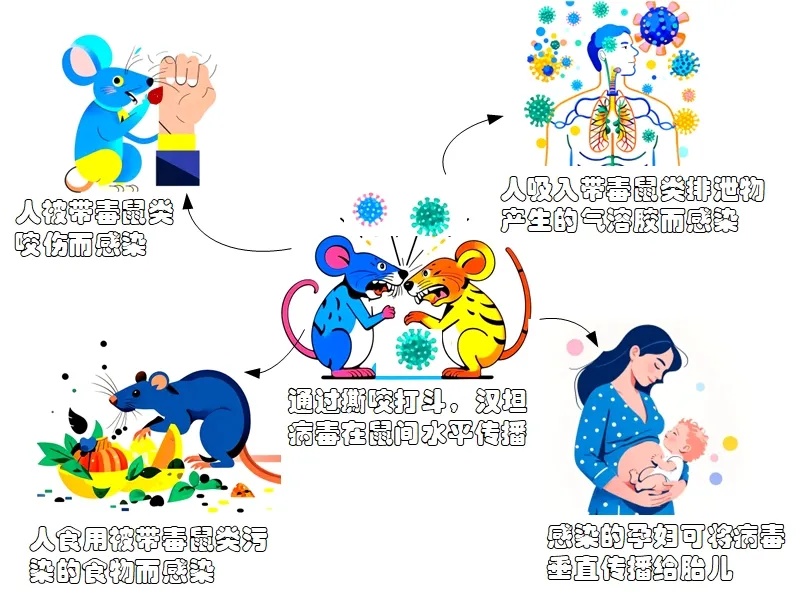 吃席后高热出血!近期活动频繁,警惕感染风险 吃席后高热出血!近期活动频繁,警惕感染风险