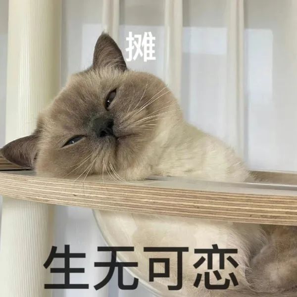 头皮发麻!上海街头这些不明粘液是啥?目前正是高发期!有人鞋底、衣服遭殃... 头皮发麻!上海街头这些不明粘液是啥?目前正是高发期!有人鞋底、衣服遭殃...