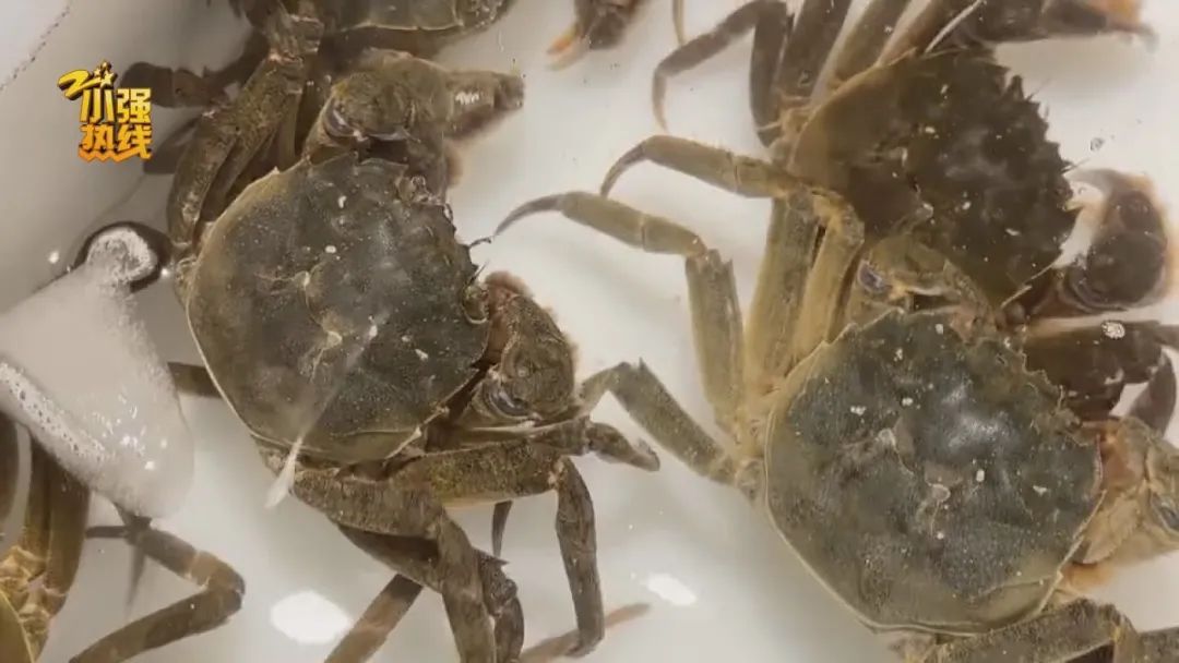 “鲜掉眉毛”!很多人爱吃的限定美味来了!价格下跌的时间已确定 “鲜掉眉毛”!很多人爱吃的限定美味来了!价格下跌的时间已确定