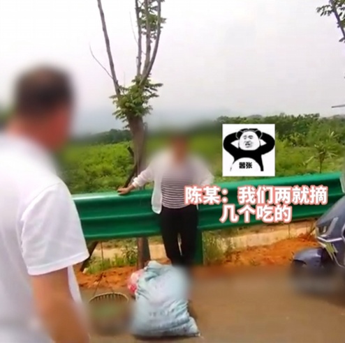 就摘几个吃吃？三人偷摘230余斤桃被抓！