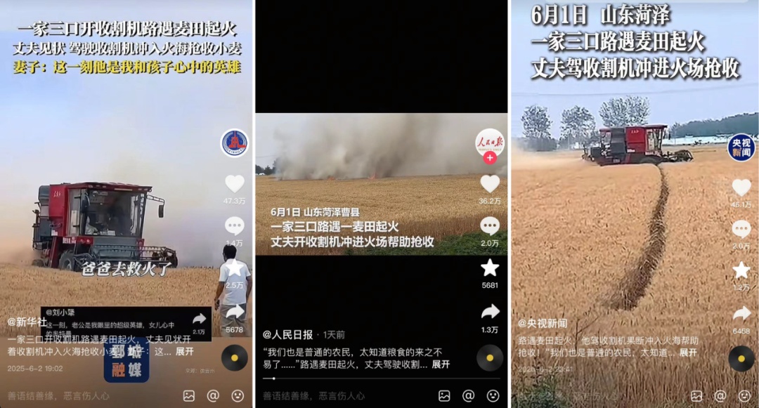 菏泽夫妻回应冲入起火麦地抢收:如果再遇到还会义无反顾冲上去 菏泽夫妻回应冲入起火麦地抢收:如果再遇到还会义无反顾冲上去