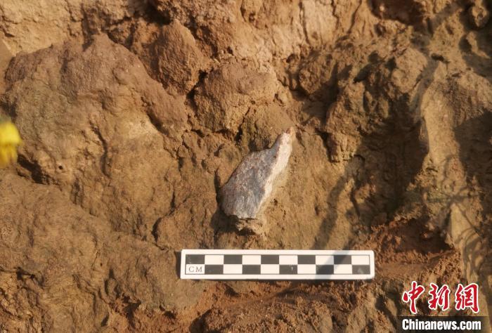 渭南新发现旧石器遗址100余处 实证秦岭北麓百万年人类生存演化史 渭南新发现旧石器遗址100余处 实证秦岭北麓百万年人类生存演化史