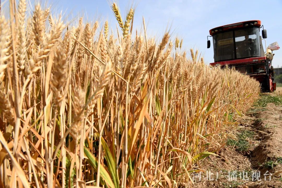 明天17时57分,河北正式进入→ 明天17时57分,河北正式进入→
