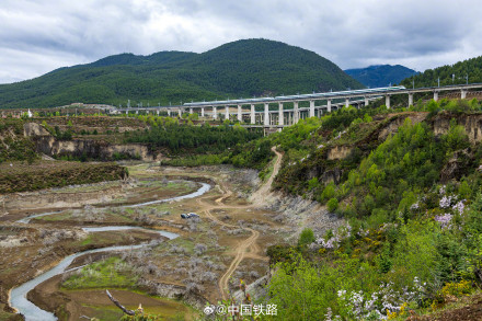 复兴号穿过高山杜鹃花海 复兴号穿过高山杜鹃花海