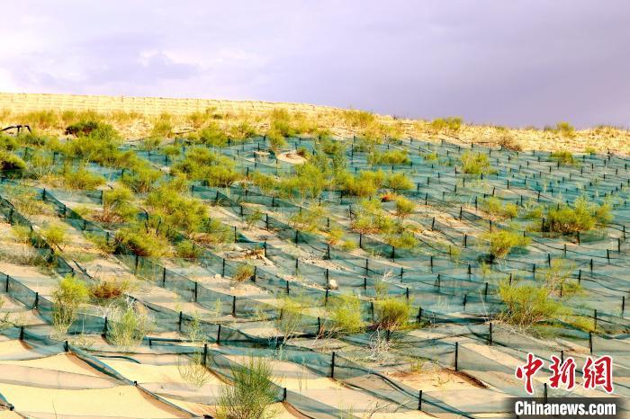 210万亩环绿洲锁边林草带“锁住”夹击民勤的两大沙漠 210万亩环绿洲锁边林草带“锁住”夹击民勤的两大沙漠