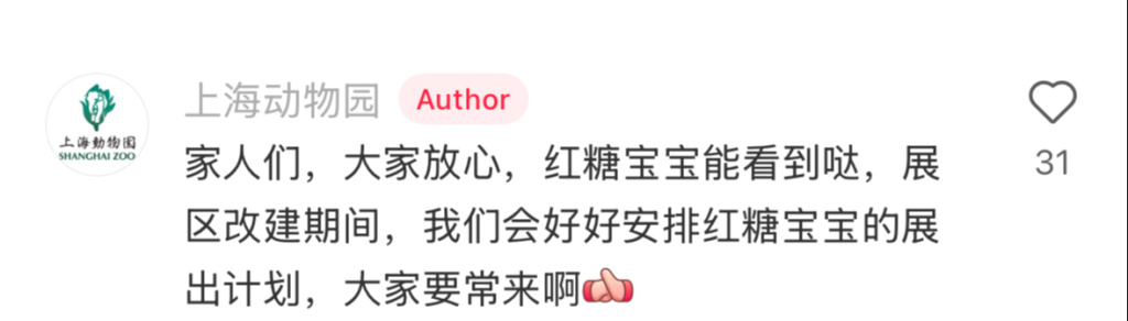 网红小老虎“红糖”将暂停展出？上海动物园：展区改建，会安排展出计划