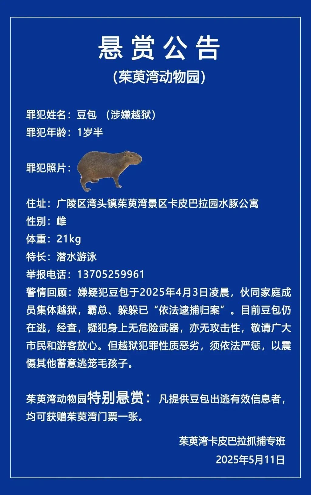 “豆包”回家了！还胖了一斤多