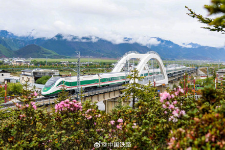 复兴号穿过高山杜鹃花海 复兴号穿过高山杜鹃花海