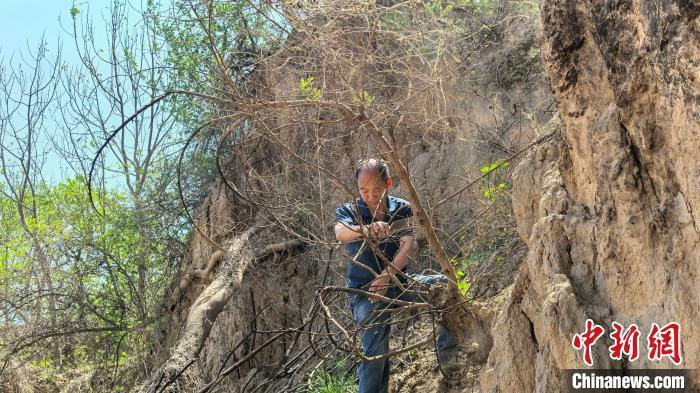 渭南新发现旧石器遗址100余处 实证秦岭北麓百万年人类生存演化史 渭南新发现旧石器遗址100余处 实证秦岭北麓百万年人类生存演化史