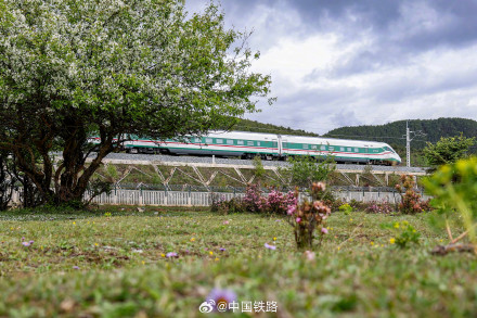 复兴号穿过高山杜鹃花海 复兴号穿过高山杜鹃花海