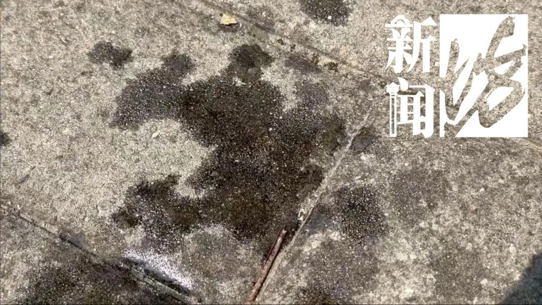 头皮发麻!上海街头这些不明粘液是啥?目前正是高发期!有人鞋底、衣服遭殃... 头皮发麻!上海街头这些不明粘液是啥?目前正是高发期!有人鞋底、衣服遭殃...