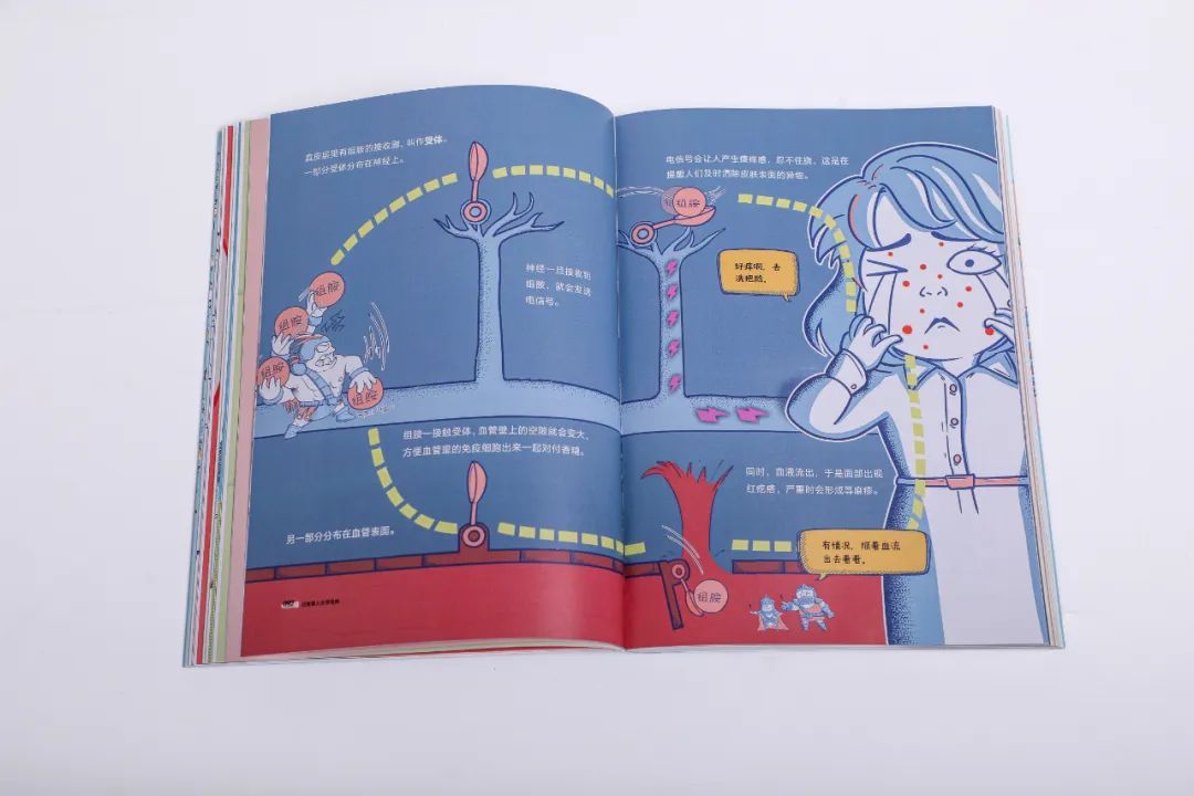 蝌学荐书 | 挠不完的痒痒，打不完的喷嚏，为什么我一年四季都在过敏？