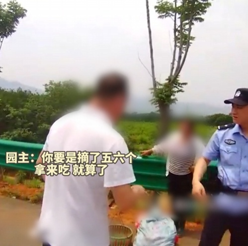 就摘几个吃吃？三人偷摘230余斤桃被抓！