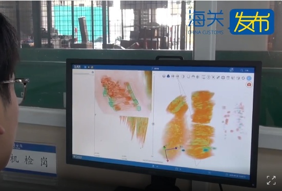 江门海关在“女士上衣”中发现7407只蚂蚁 江门海关在“女士上衣”中发现7407只蚂蚁