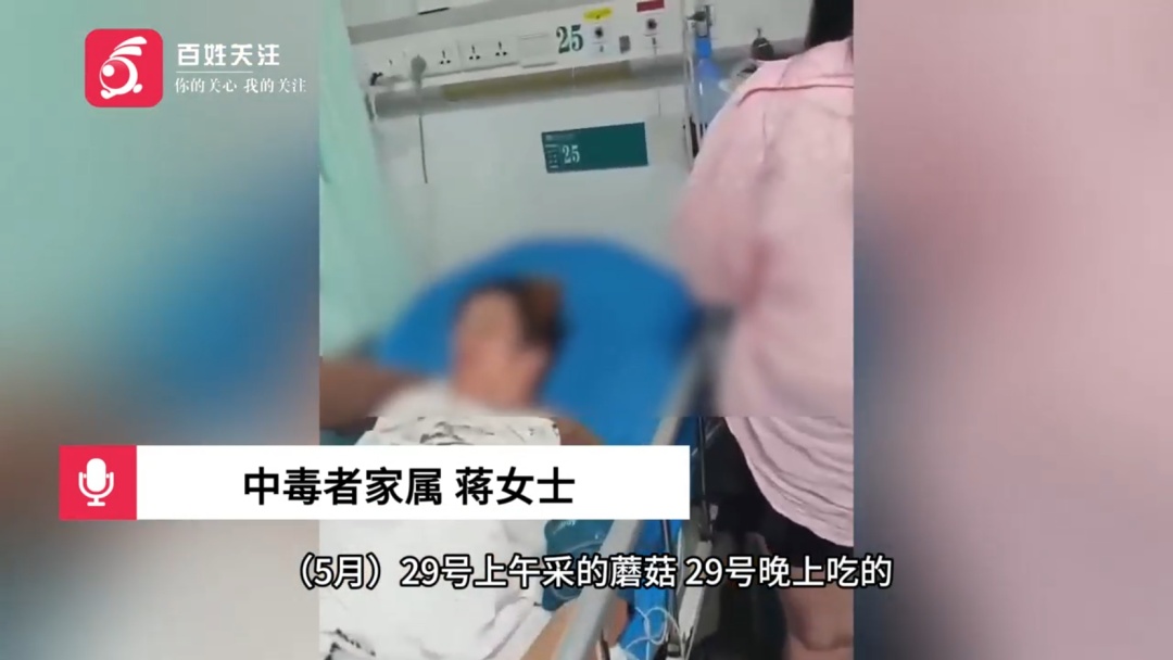 上至86岁,下至5岁!一家6人误食野生菌,后续治疗需60至100万 上至86岁,下至5岁!一家6人误食野生菌,后续治疗需60至100万