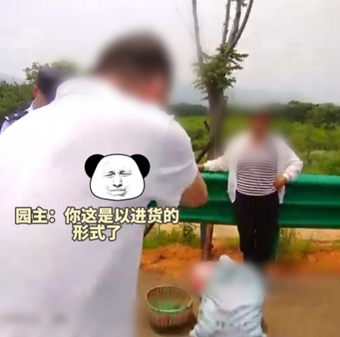 就摘几个吃吃？三人偷摘230余斤桃被抓！