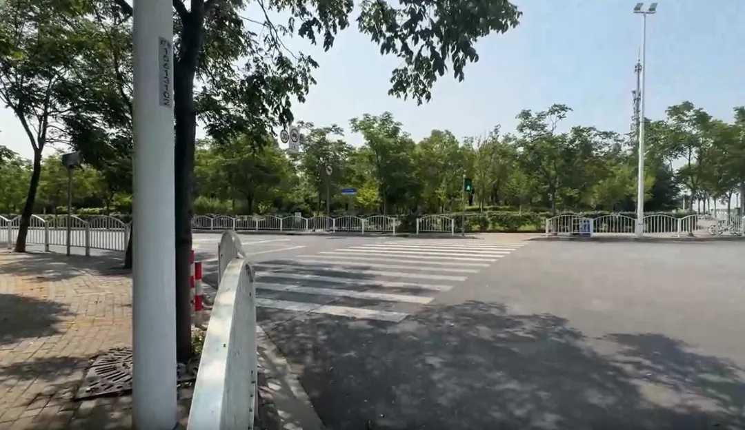 上海街头这些不明粘液是啥?目前正是高发期…… 上海街头这些不明粘液是啥?目前正是高发期……