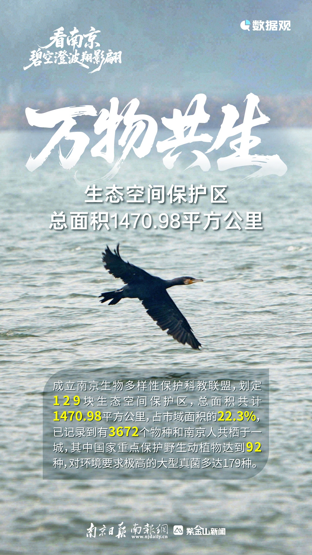 惊喜!时隔4年,它们再现 惊喜!时隔4年,它们再现