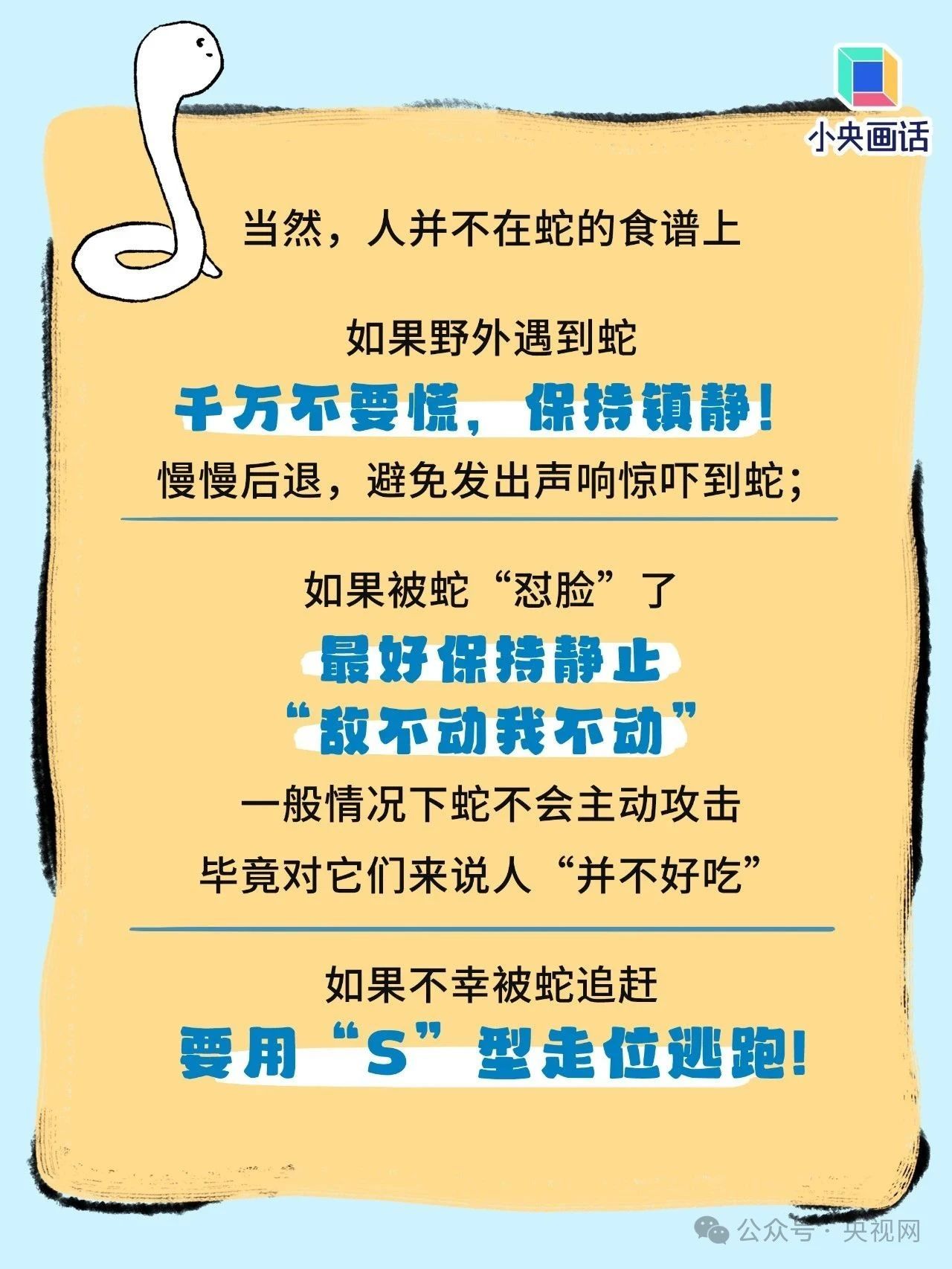 如果不幸被蛇咬了,千万别学影视剧里那一套 如果不幸被蛇咬了,千万别学影视剧里那一套