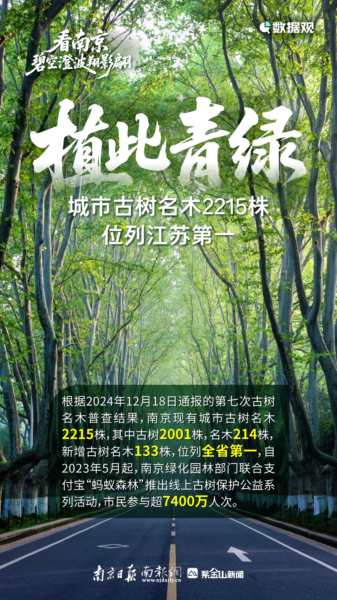 惊喜!时隔4年,它们再现 惊喜!时隔4年,它们再现