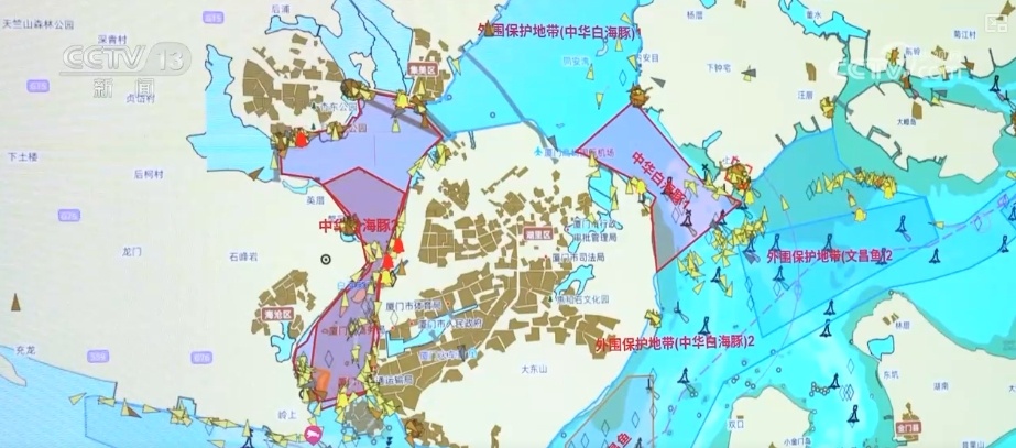 生态保护向“智”向“新” 白海豚有了高科技“保镖” 生态保护向“智”向“新” 白海豚有了高科技“保镖”