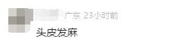 深圳邮局海关在“食品蛋糕”中查获165只活体鼠妇，网友：头皮发麻