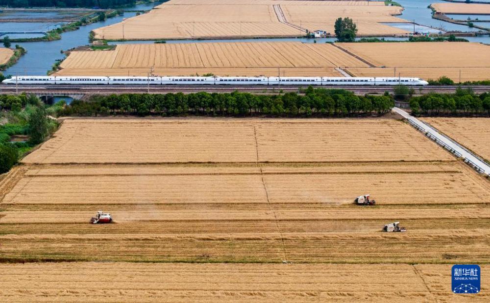 时雨及芒种 四野皆插秧 时雨及芒种 四野皆插秧