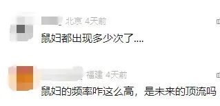 深圳邮局海关在“食品蛋糕”中查获165只活体鼠妇，网友：头皮发麻