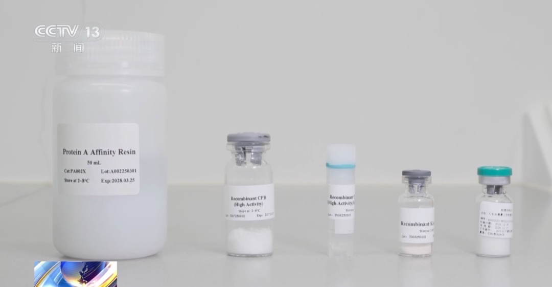 抽一次血预知百病成为现实！我国AI蛋白质研究取得一系列重大成果