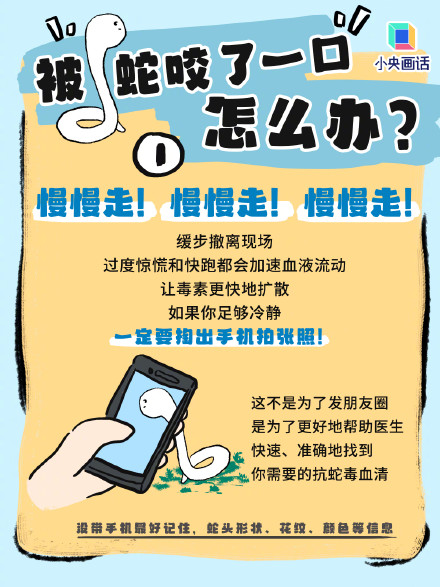 被蛇咬伤后尽量给它拍张照 被蛇咬伤后尽量给它拍张照