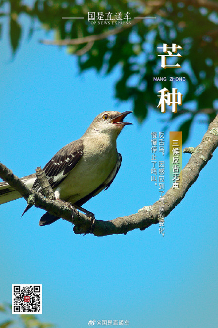 诗句中的24节气:今日芒种 诗句中的24节气:今日芒种