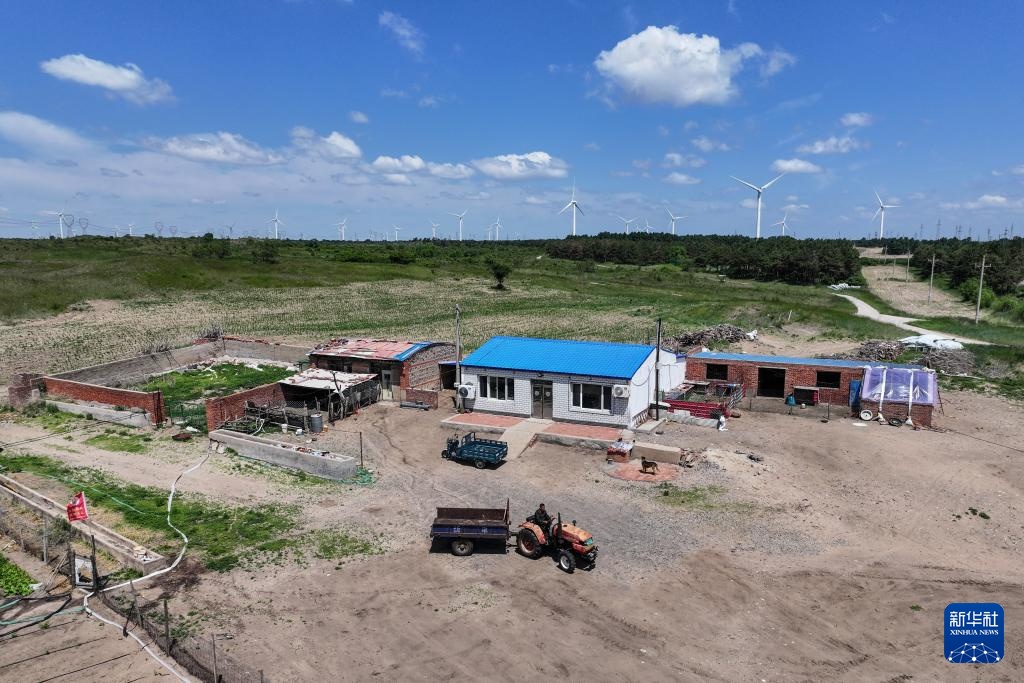 父女两代人见证沙地披绿装 父女两代人见证沙地披绿装