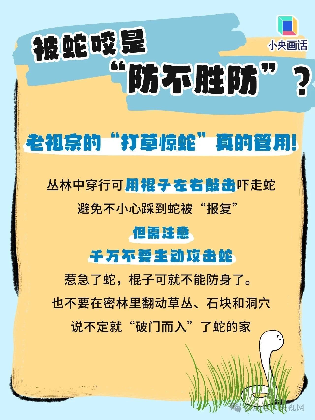 如果不幸被蛇咬了,千万别学影视剧里那一套 如果不幸被蛇咬了,千万别学影视剧里那一套