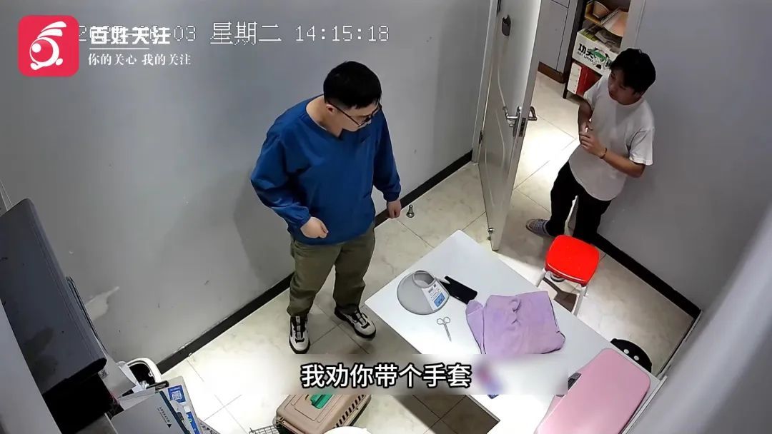 “我劝你带个手套”!宠物医生质疑猫咪战斗力,话音未落就被...... “我劝你带个手套”!宠物医生质疑猫咪战斗力,话音未落就被......