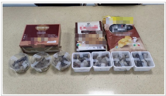 “食品蛋糕”中查获165只活体生物！网友：头皮发麻...