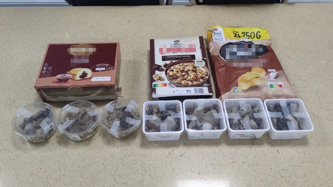 深圳邮局海关在“食品蛋糕”中查获165只活体鼠妇，网友：头皮发麻