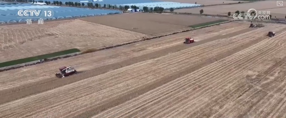 科技赋能服务“三夏”生产 “智慧种地”大显身手夯实丰收基础 科技赋能服务“三夏”生产 “智慧种地”大显身手夯实丰收基础