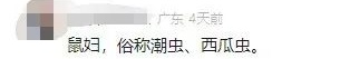 “食品蛋糕”中查获165只活体生物！网友：头皮发麻...