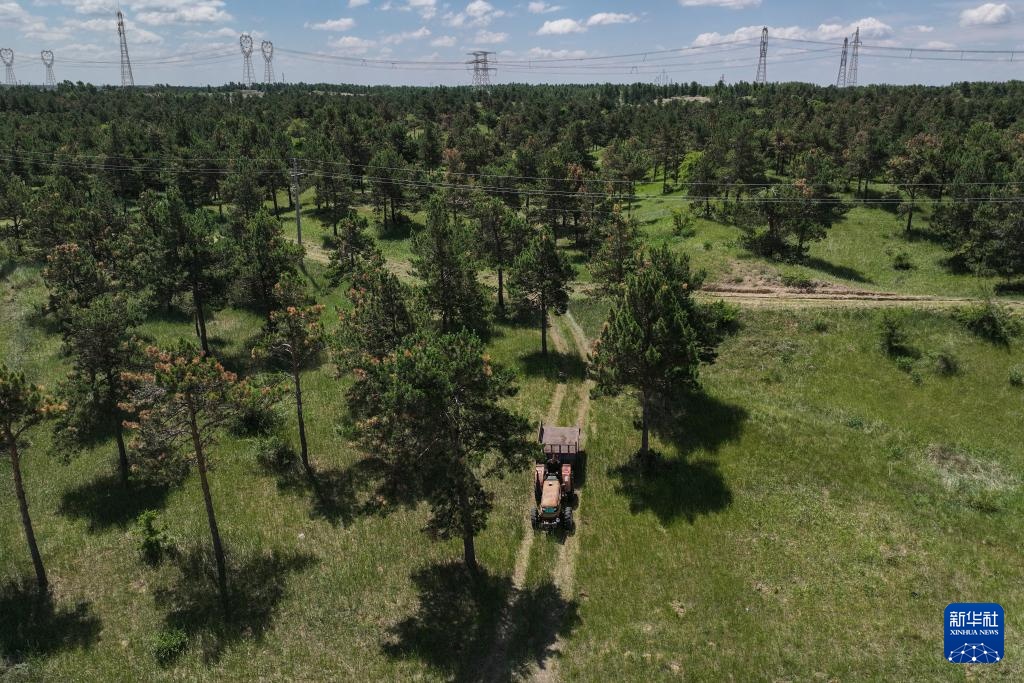 父女两代人见证沙地披绿装 父女两代人见证沙地披绿装