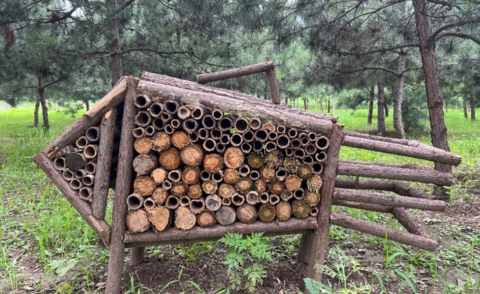 生态持续向好 北京陆生野生动物增至620种 生态持续向好 北京陆生野生动物增至620种