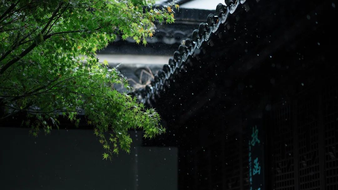 今日芒种，要做这些事！