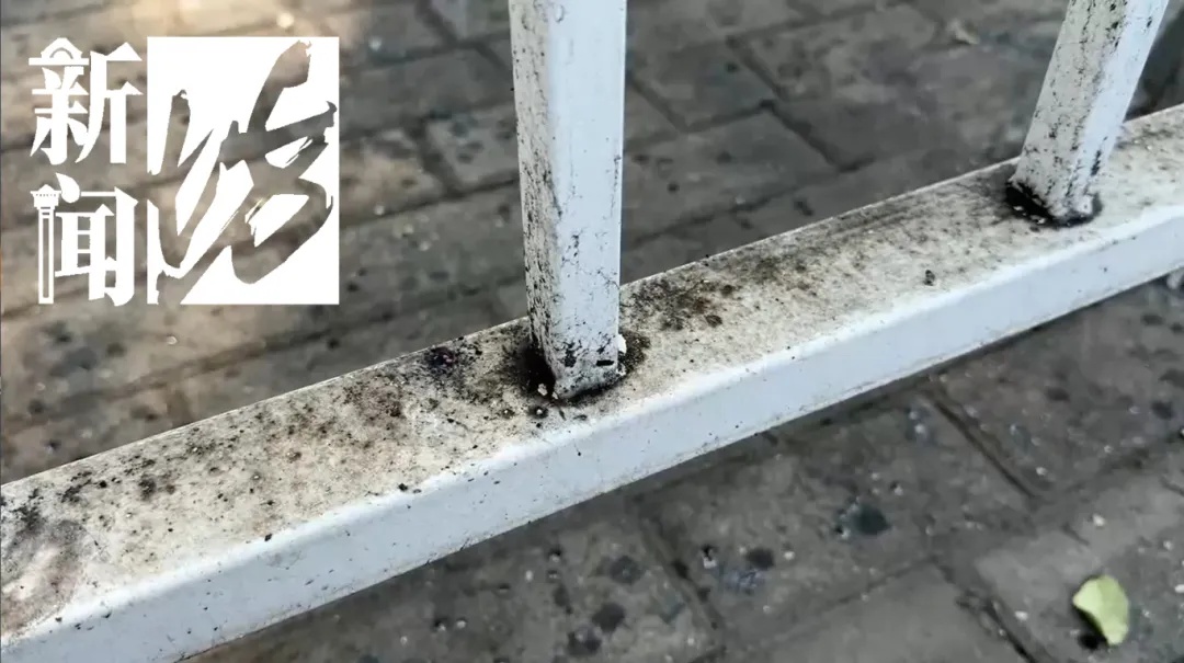 上海街头这些不明粘液是啥?目前正是高发期…… 上海街头这些不明粘液是啥?目前正是高发期……