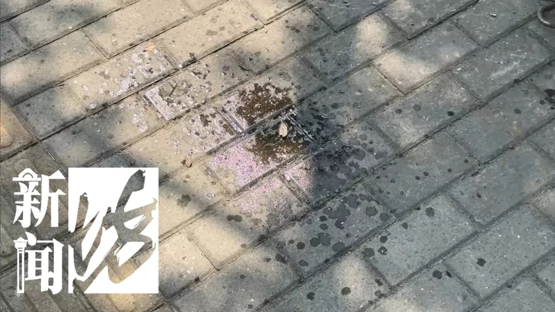 上海街头这些不明粘液是啥?目前正是高发期…… 上海街头这些不明粘液是啥?目前正是高发期……