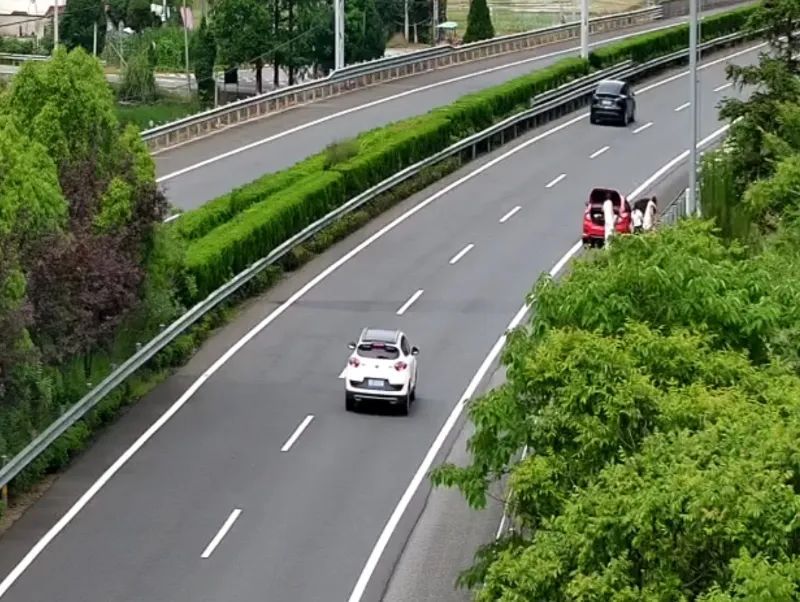 惊呆!浙江高速上有人杀鸡宰鸭,车主回应让人意外… 惊呆!浙江高速上有人杀鸡宰鸭,车主回应让人意外…