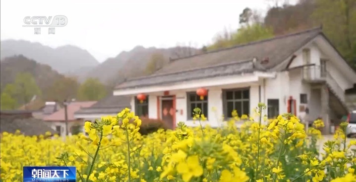 23元吃三餐！同学会+篝火趴 中小城市这样宠银发旅居客