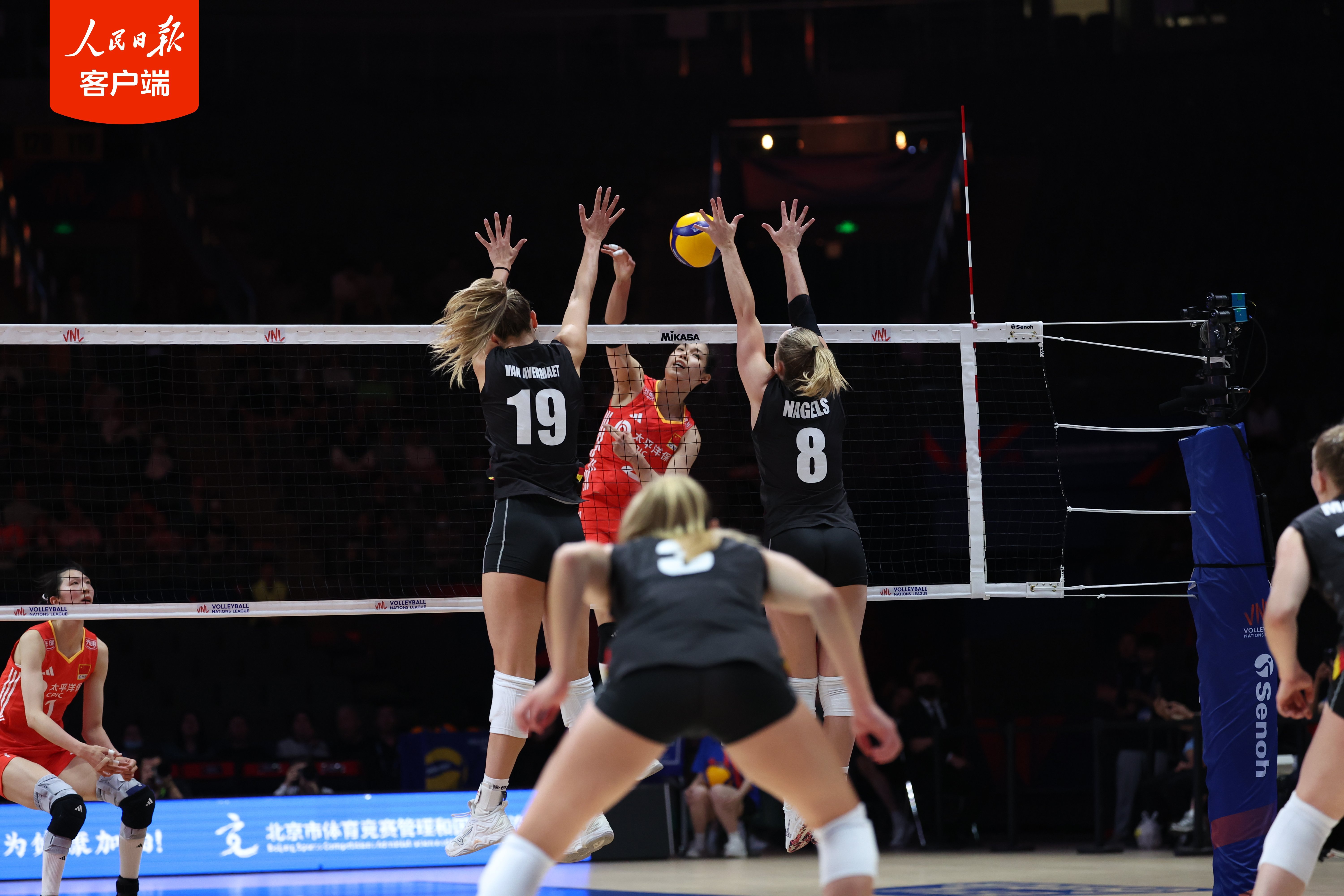 中国女排新周期开门红!3:0战胜比利时队 中国女排新周期开门红!3:0战胜比利时队
